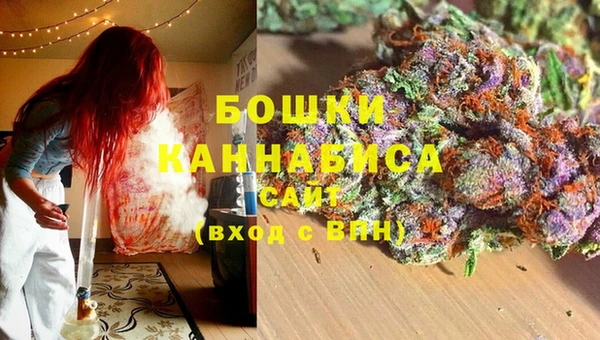 амф Богородицк