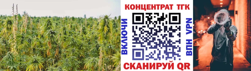 ТГК концентрат  гидра ССЫЛКА  Козельск 