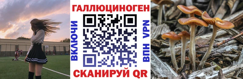 Псилоцибиновые грибы Psilocybe  hydra сайт  Козельск 